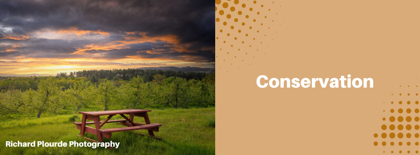 Image of a picnic table on a grassy hill