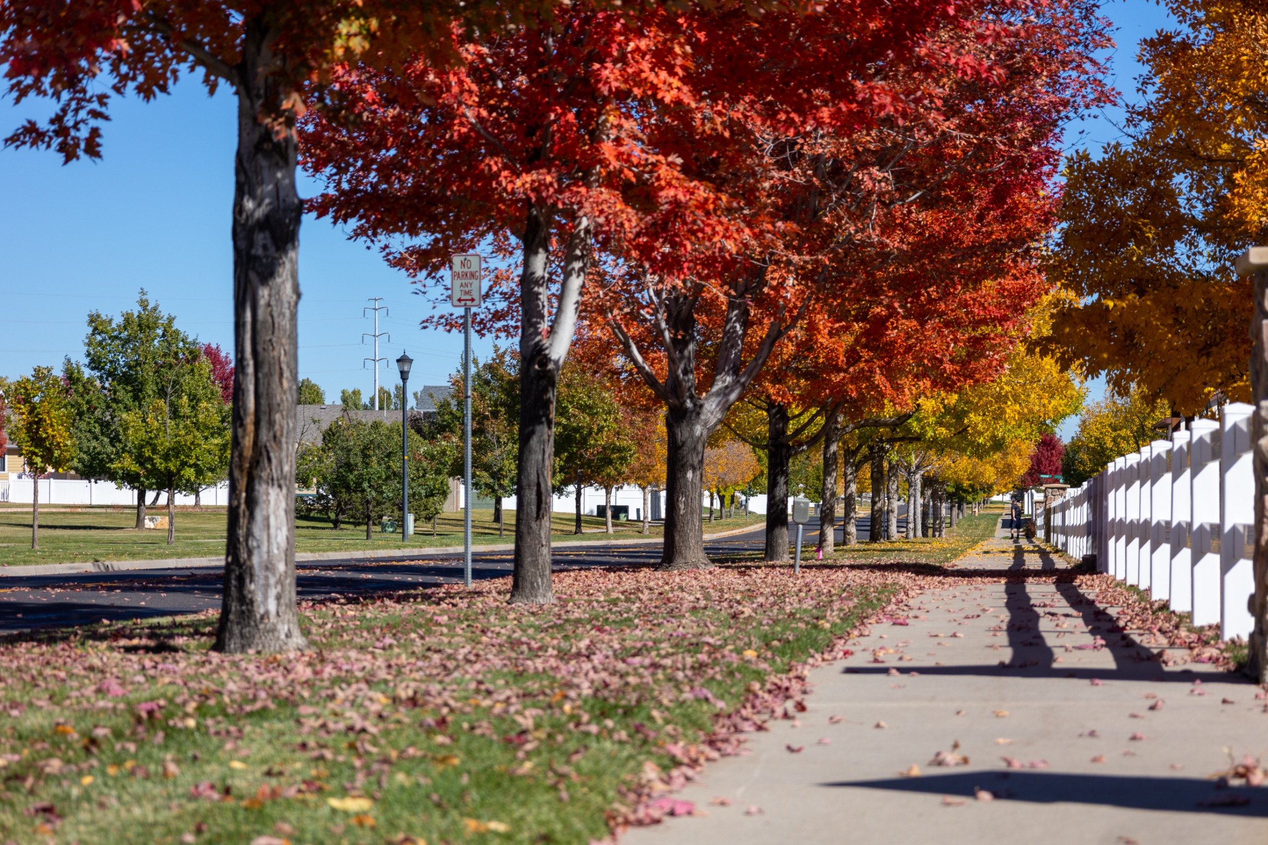 City of Evan's fall colors