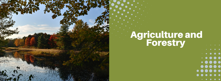 Image of a river with fall foliage in the background